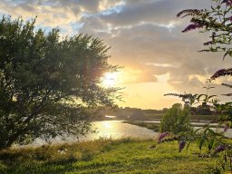 Lige til et lejrbål i solnedgangen ved vandet