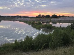 Naturen i grusgraven